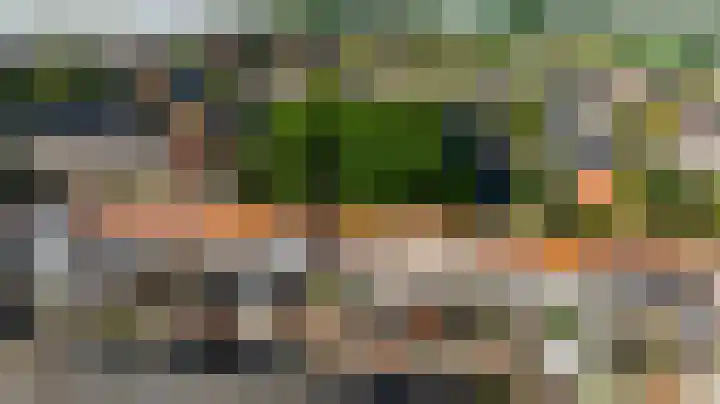 Hoenderparklaan 86 Kwintsheul thumbnail 35