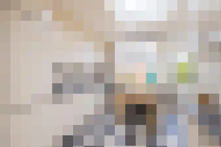 Hoenderparklaan 86 Kwintsheul thumbnail 4