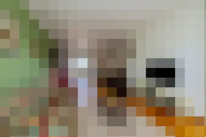 Hoenderparklaan 86 Kwintsheul thumbnail 9
