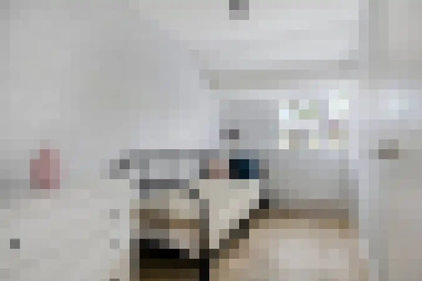 Hoenderparklaan 90 Kwintsheul thumbnail 23