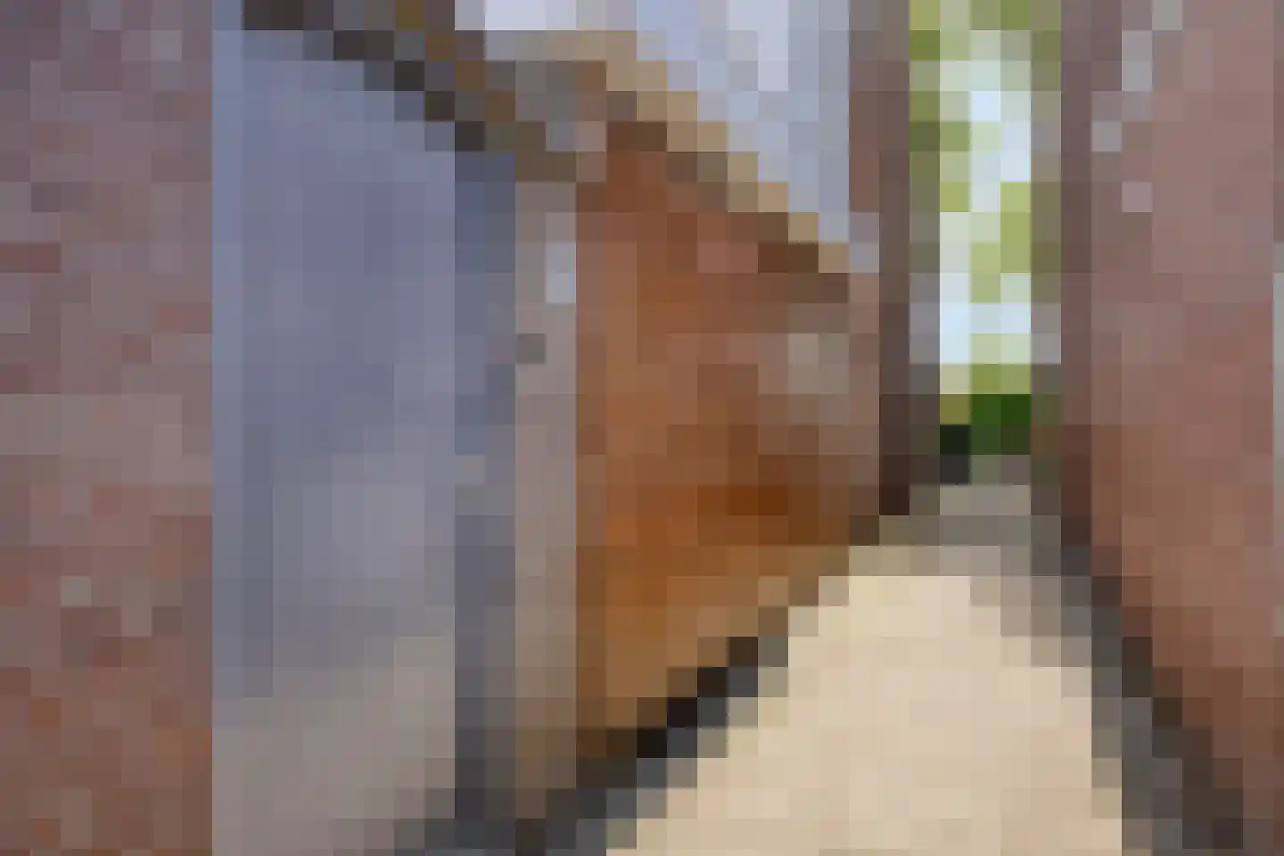 Hoenderparklaan 90 Kwintsheul thumbnail 31