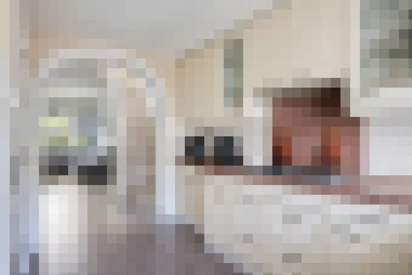 Hoenderparklaan 90 Kwintsheul thumbnail 4