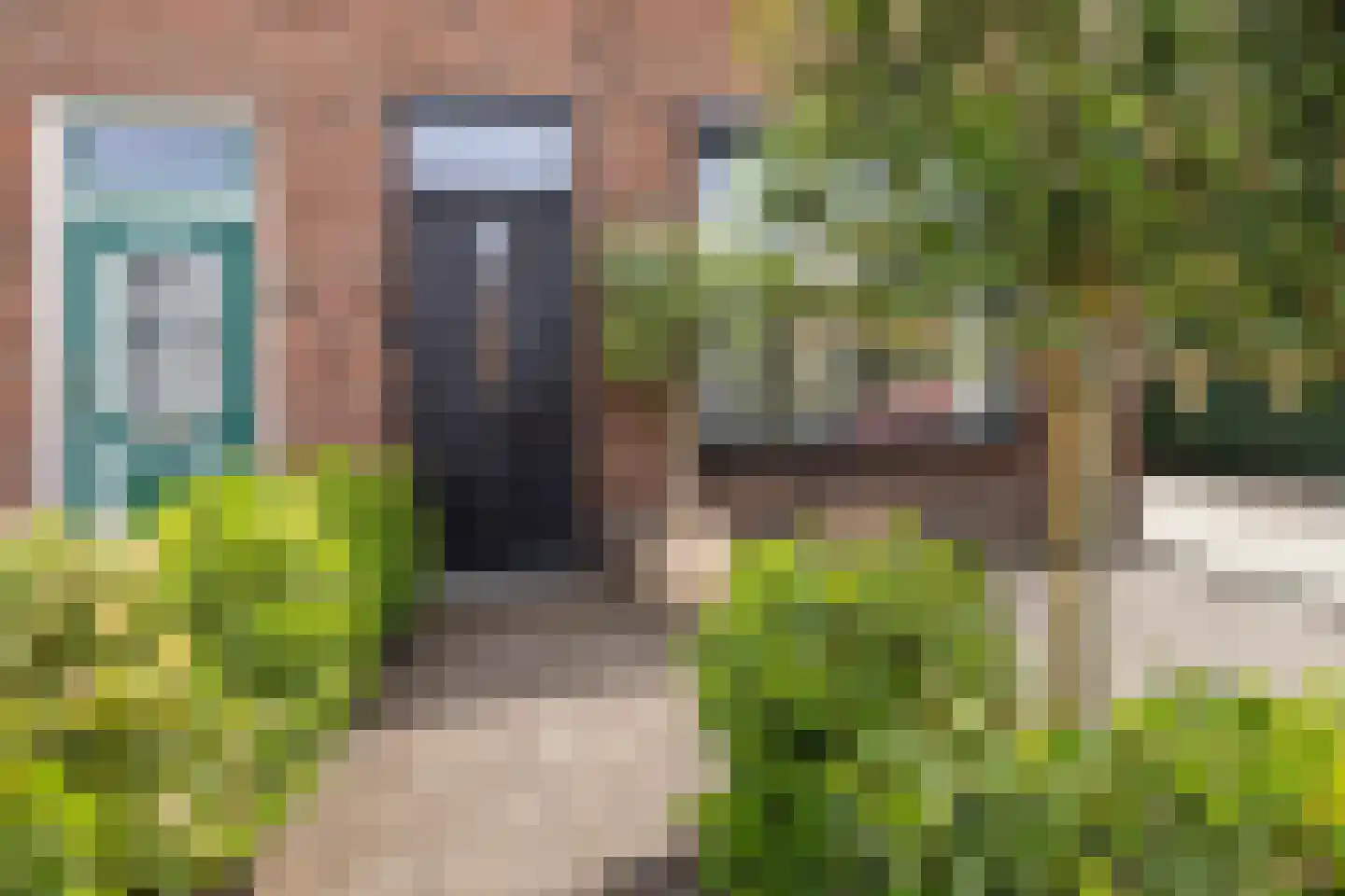 Hoenderparkweg 129 C Apeldoorn thumbnail 38