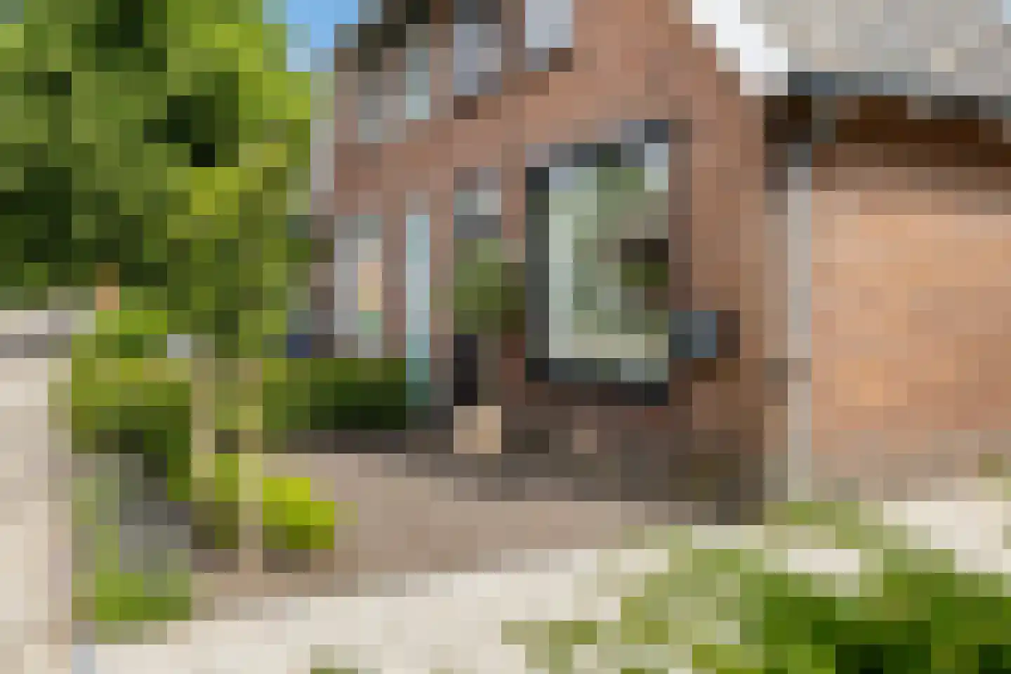 Hoenderparkweg 129 C Apeldoorn thumbnail 39