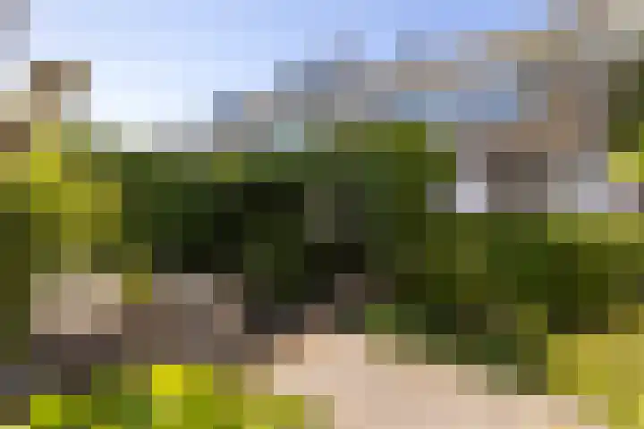Hoendersekade 19 Zwijndrecht thumbnail 23