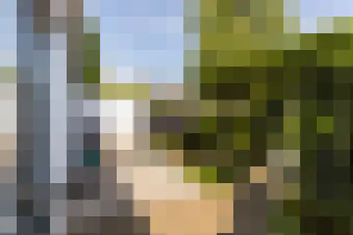 Hoendersekade 19 Zwijndrecht thumbnail 24