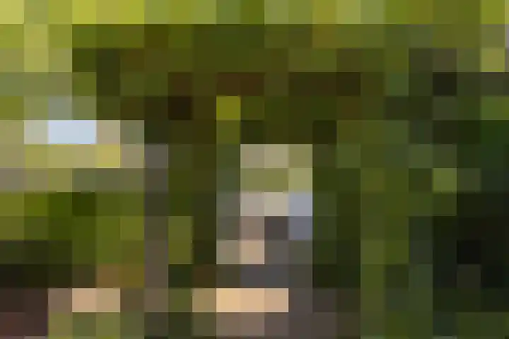 Hoendersekade 19 Zwijndrecht thumbnail 25