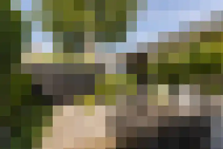 Hoendersekade 19 Zwijndrecht thumbnail 26