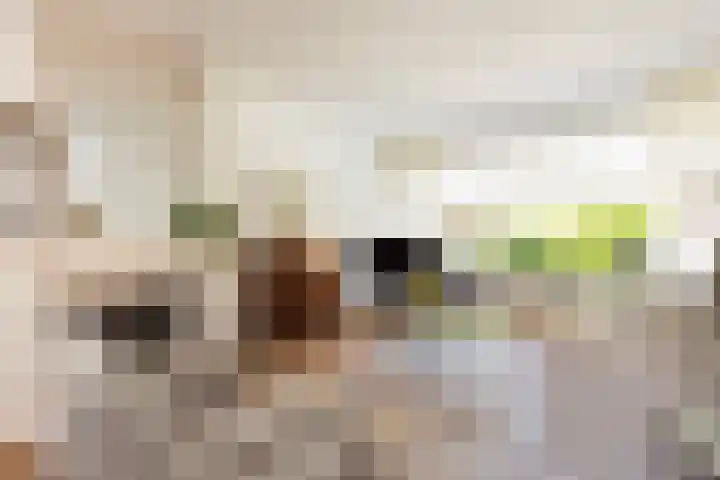 Hoendersekade 19 Zwijndrecht thumbnail 4