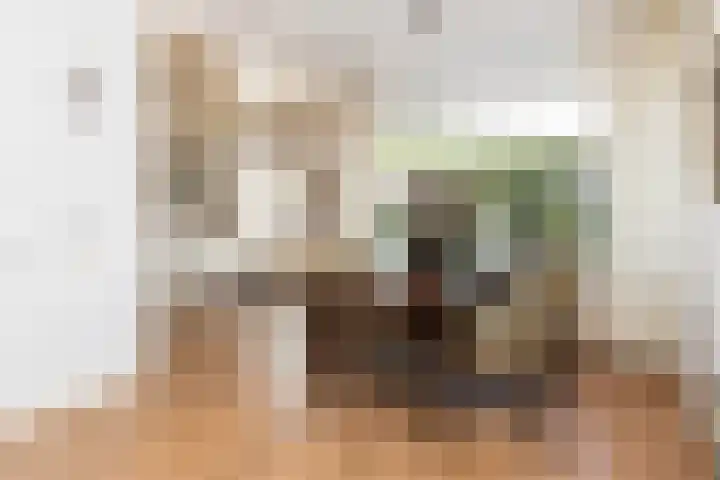 Hoendersekade 19 Zwijndrecht thumbnail 7