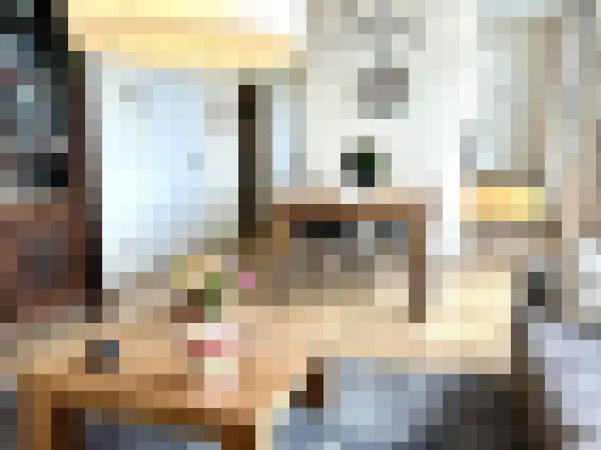 Hoenderstraat 1 Maastricht thumbnail 4