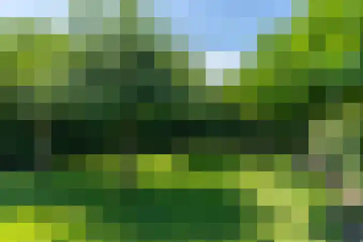 Hoenderstraat 115 Venray thumbnail 23
