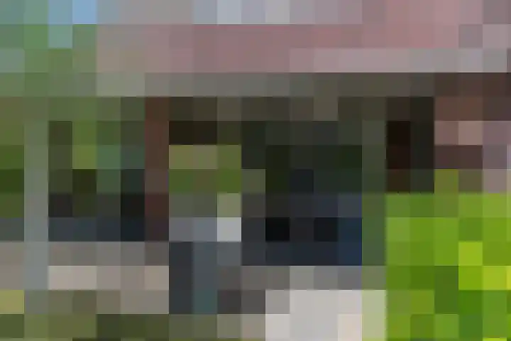 Hoenderstraat 115 Venray thumbnail 29