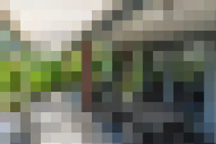 Hoenderstraat 115 Venray thumbnail 30