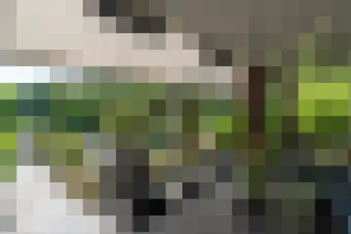Hoenderstraat 115 Venray thumbnail 31
