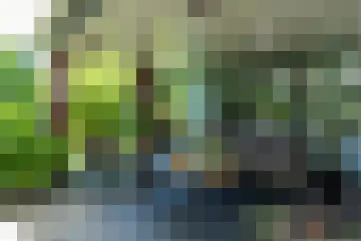 Hoenderstraat 115 Venray thumbnail 33