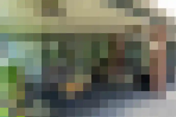 Hoenderstraat 115 Venray thumbnail 34