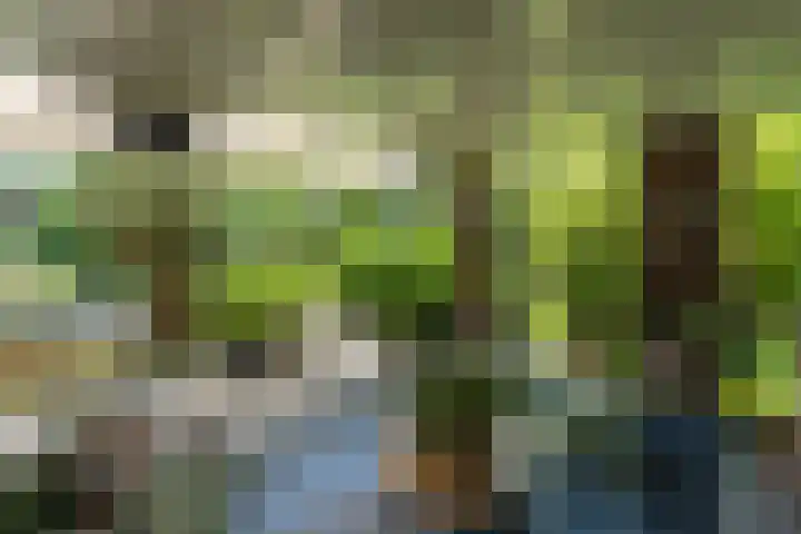 Hoenderstraat 115 Venray thumbnail 35