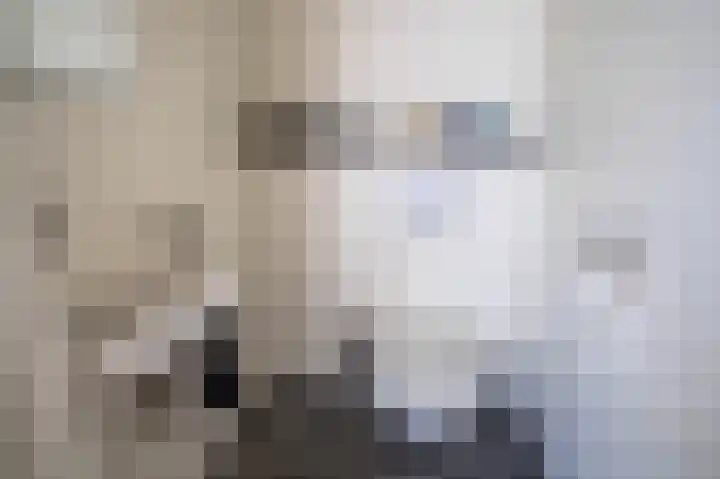 Hoenderstraat 115 Venray thumbnail 45