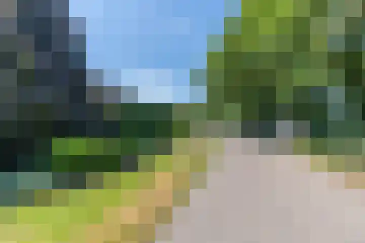 Hoenderstraat 115 Venray thumbnail 5