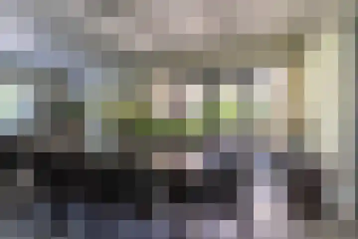 Hoenderstraat 115 Venray thumbnail 58