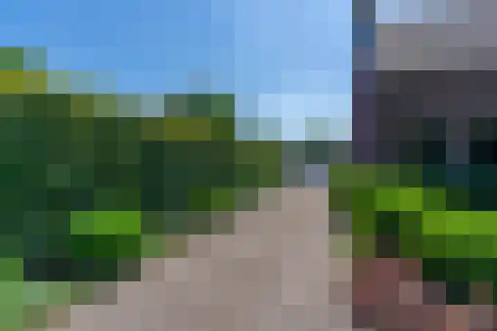 Hoenderstraat 115 Venray thumbnail 6
