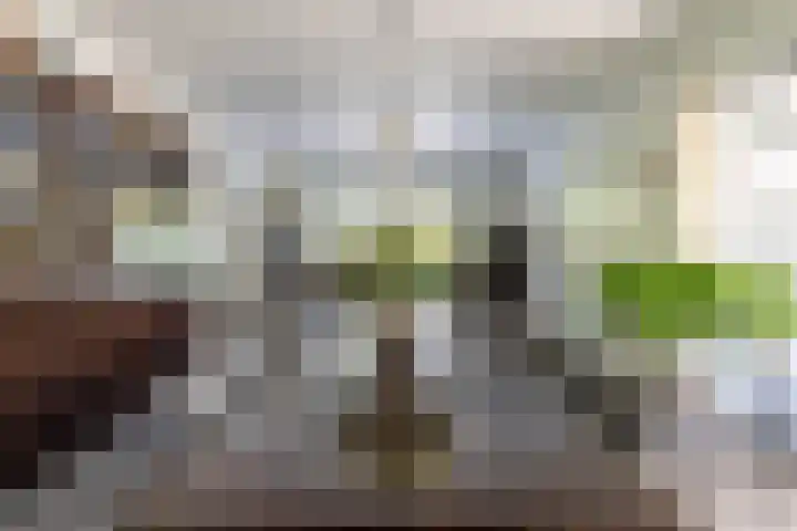 Hoenderstraat 115 Venray thumbnail 66