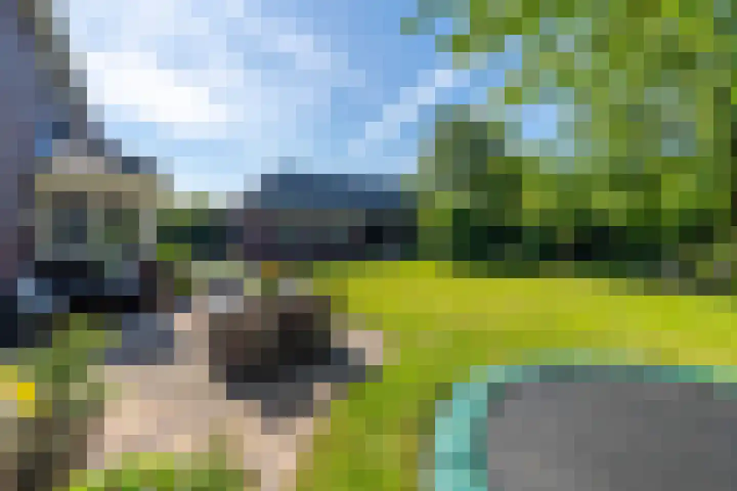 Hoenderstraat 117 Venray thumbnail 27
