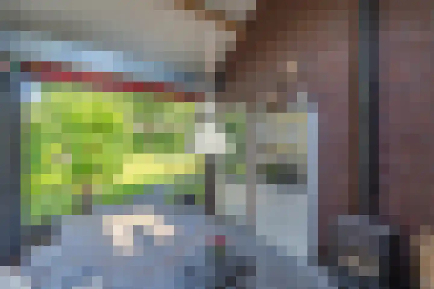 Hoenderstraat 117 Venray thumbnail 31