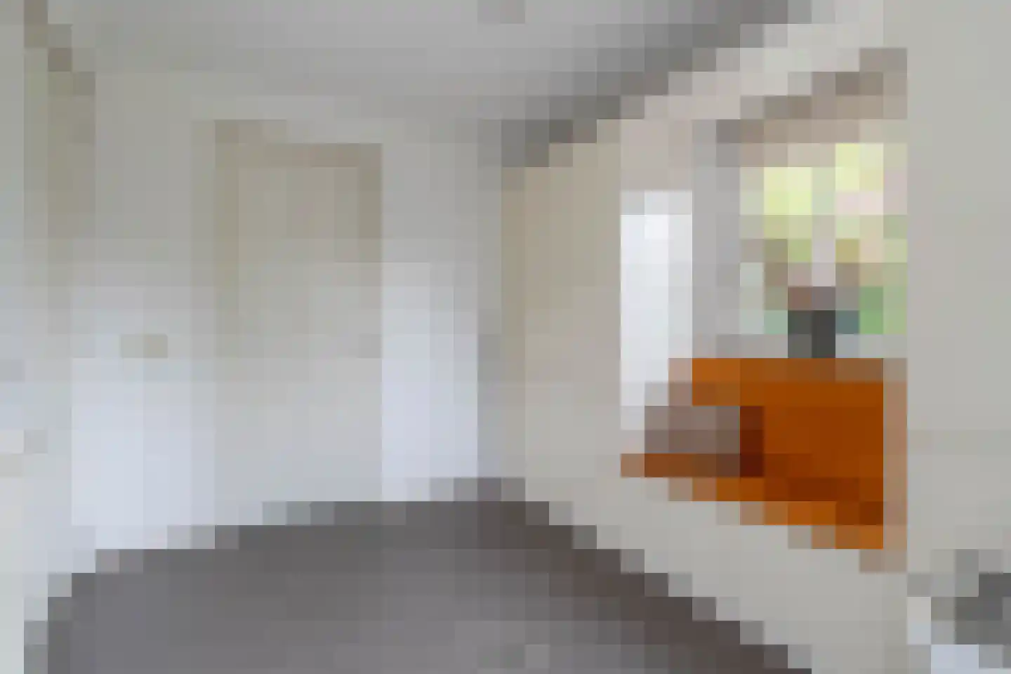 Hoenderstraat 117 Venray thumbnail 37