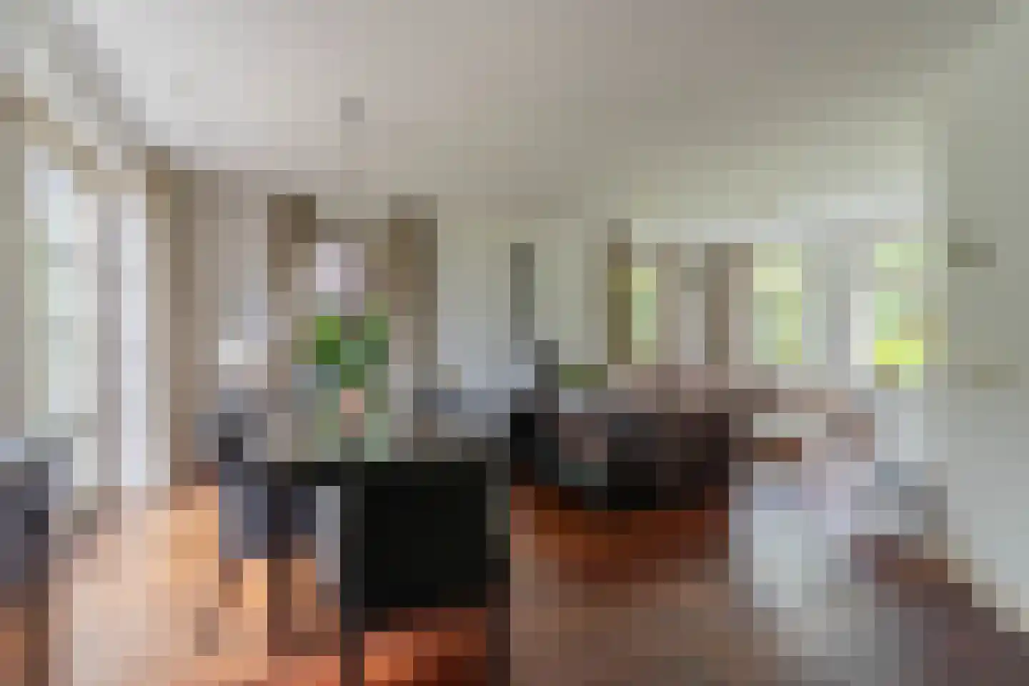 Hoenderstraat 117 Venray thumbnail 44