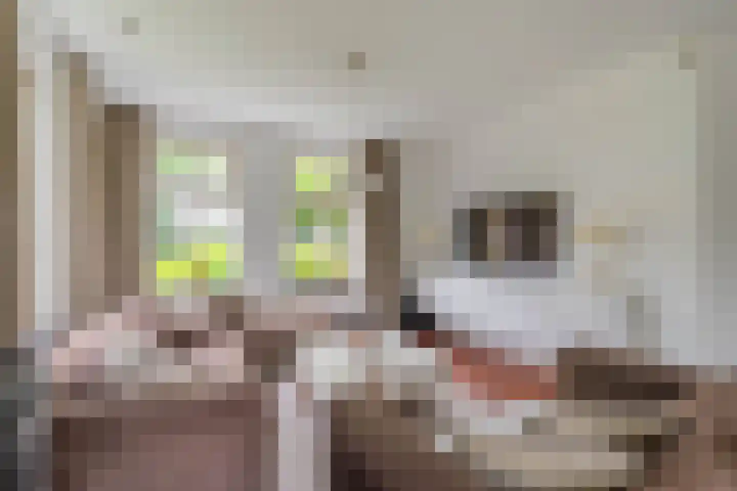 Hoenderstraat 117 Venray thumbnail 47
