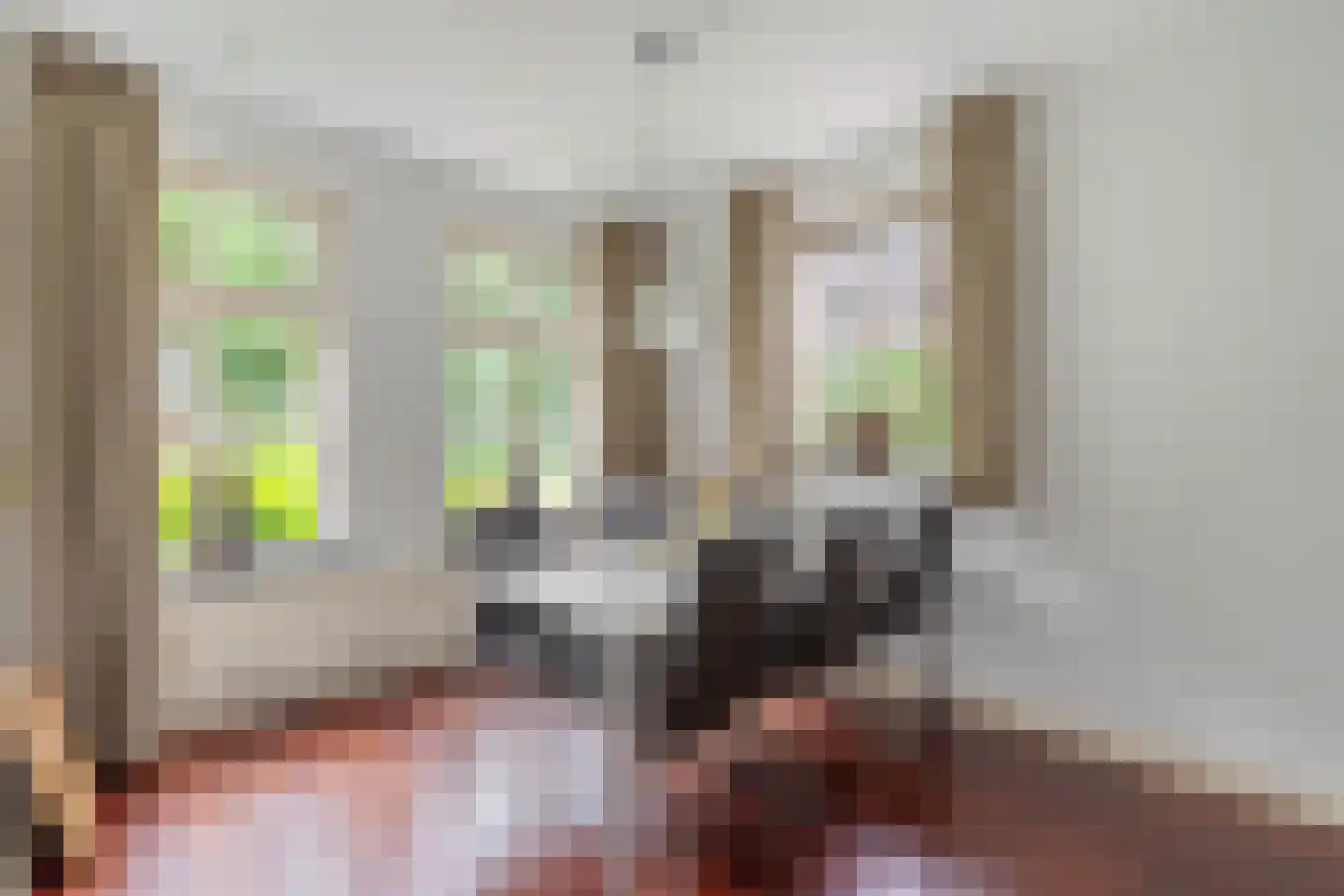 Hoenderstraat 117 Venray thumbnail 52