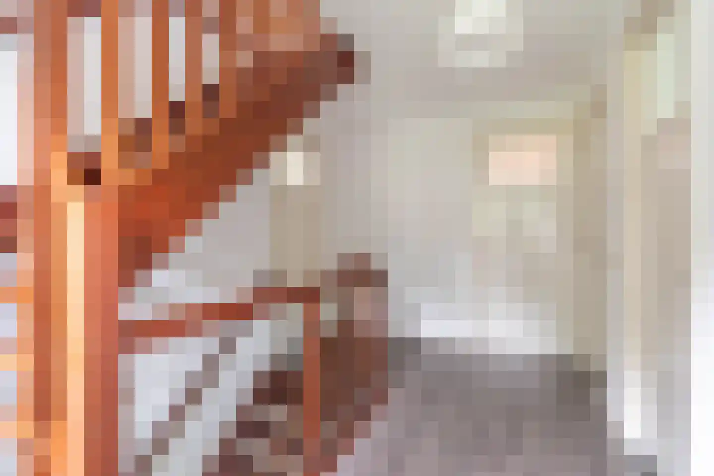 Hoenderstraat 117 Venray thumbnail 61