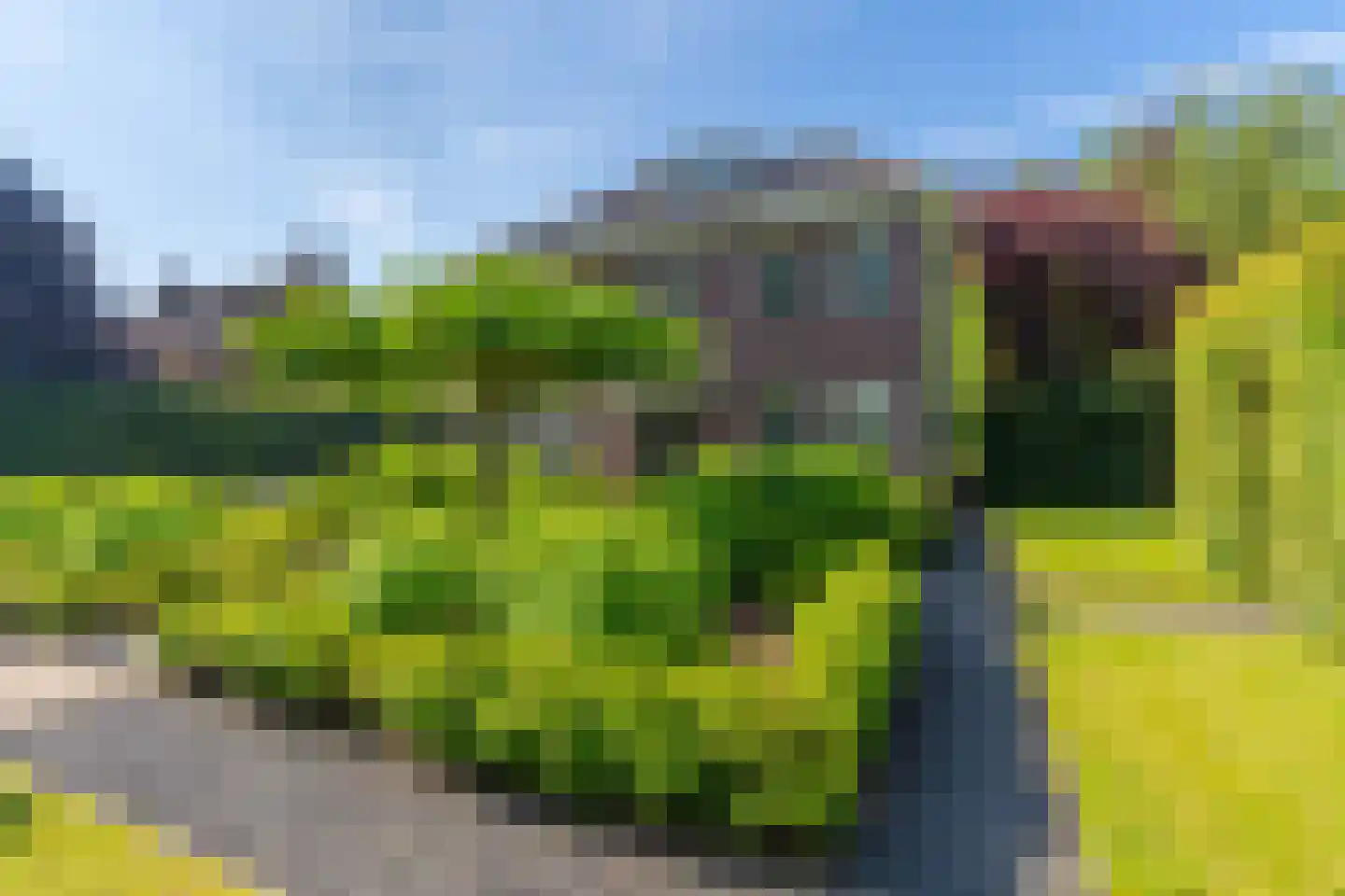Hoenderstraat 117 Venray thumbnail 7