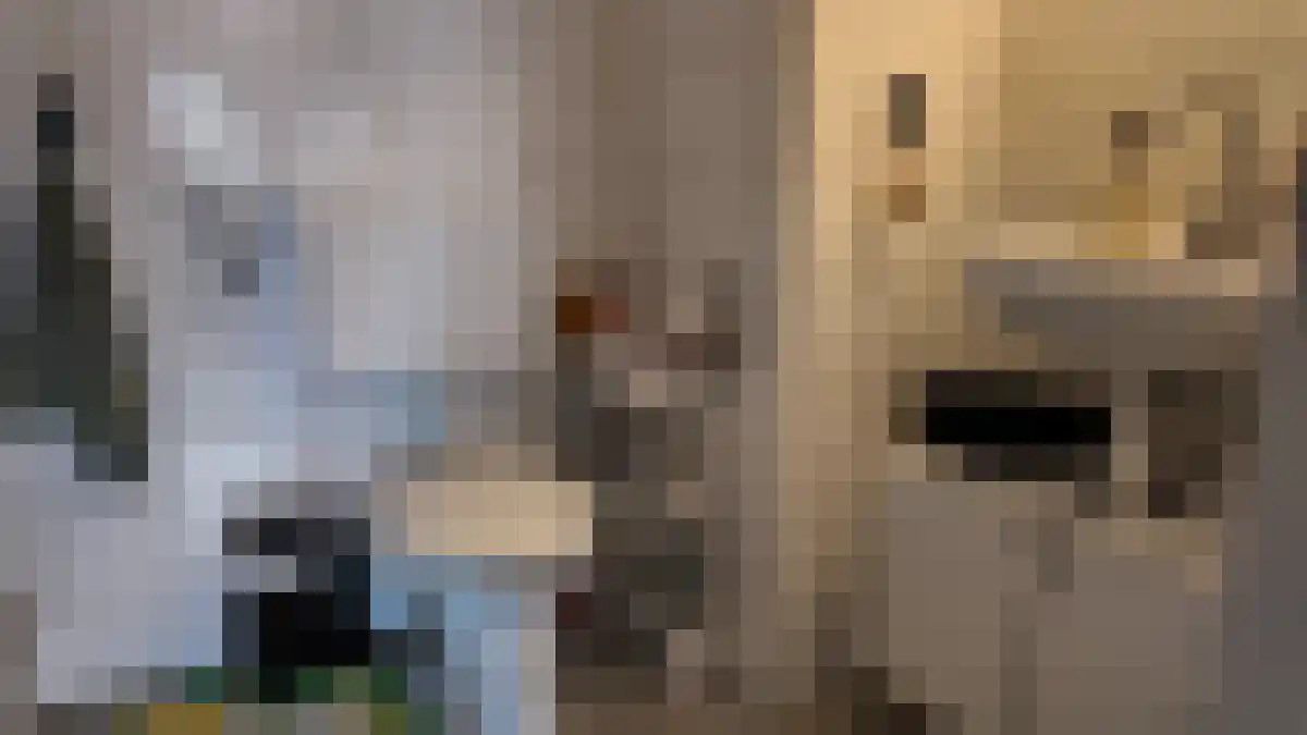 Hoenderstraat 22 Maastricht thumbnail 6