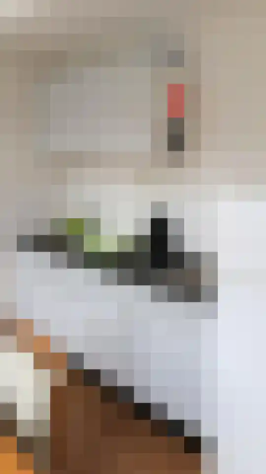 Hoenderstraat 22 Maastricht thumbnail 6