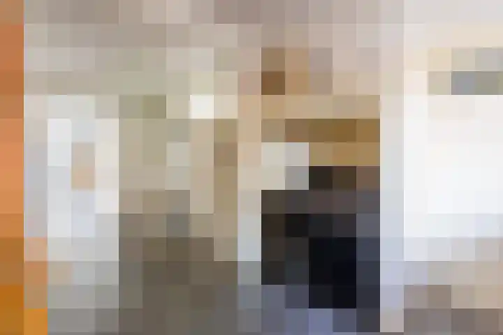 Hoenderstraat 26 Well L thumbnail 15