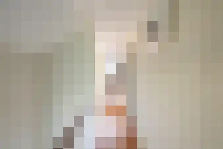 Hoenderstraat 26 Well L thumbnail 22