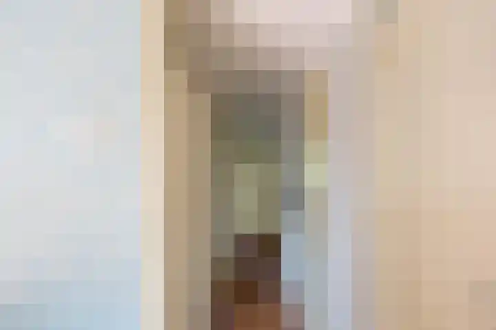 Hoenderstraat 26 Well L thumbnail 23