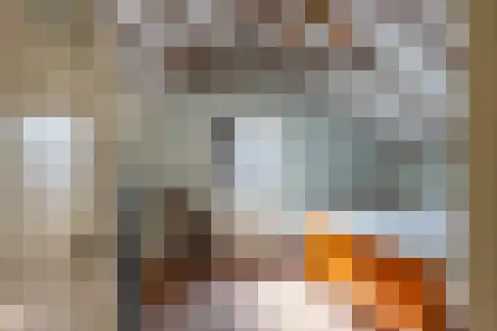 Hoenderstraat 26 Well L thumbnail 26