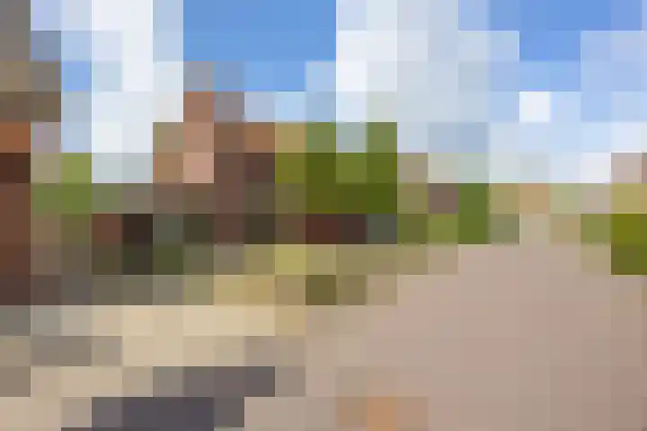 Hoenderstraat 26 Well L thumbnail 37
