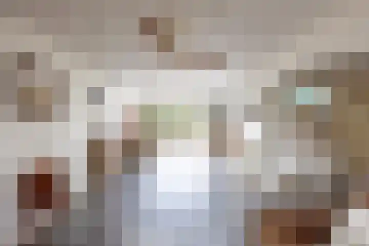 Hoenderstraat 26 Well L thumbnail 8