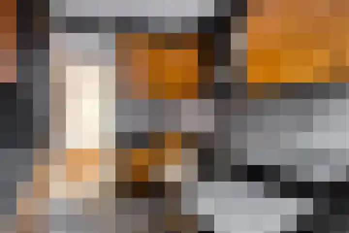 Hoenderstraat 28 Well L thumbnail 13