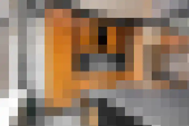 Hoenderstraat 28 Well L thumbnail 14