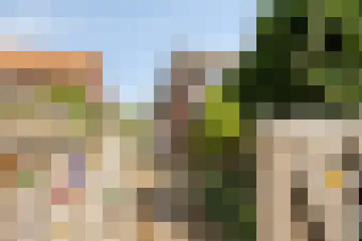 Hoenderstraat 28 Well L thumbnail 30
