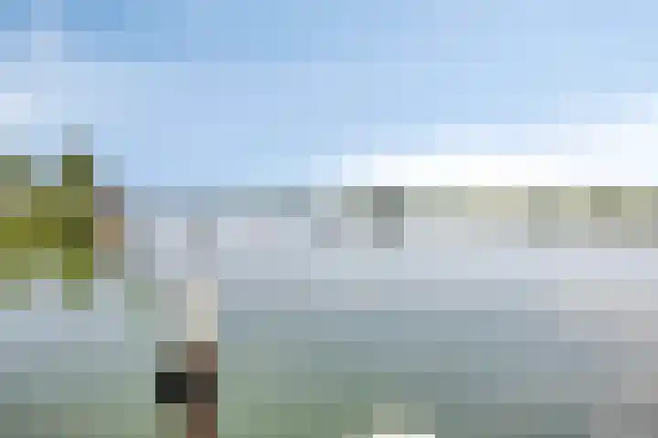 Hoenderstraat 28 Well L thumbnail 35
