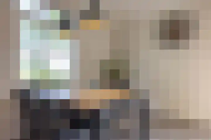 Hoenderstraat 6 Helvoirt thumbnail 10