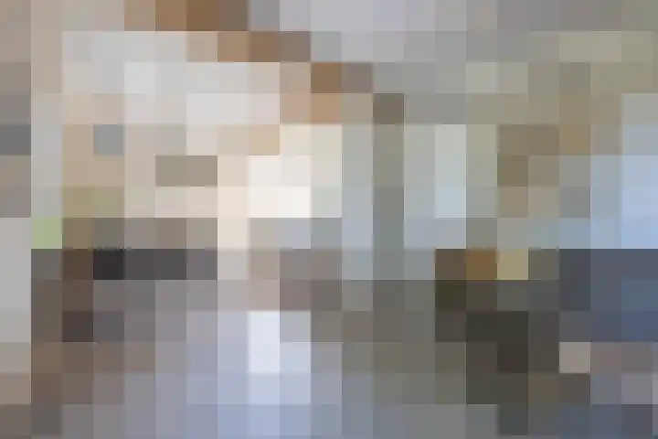 Hoenderstraat 6 Helvoirt thumbnail 11