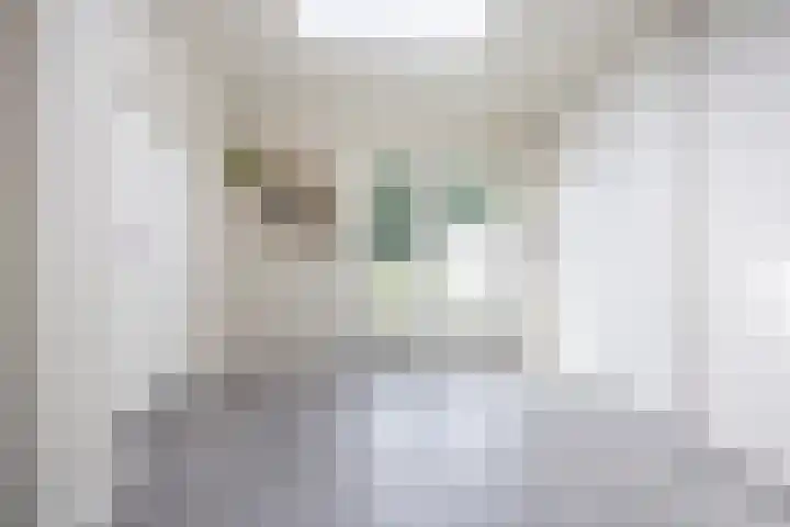 Hoenderstraat 6 Helvoirt thumbnail 14